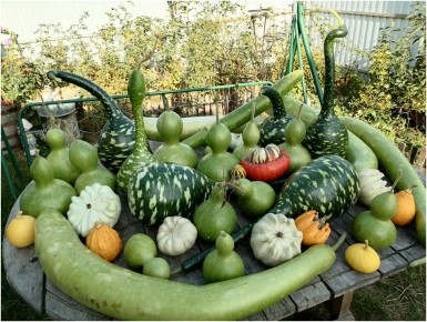 ���������: ������� ��������� ����������� ������������� ��������