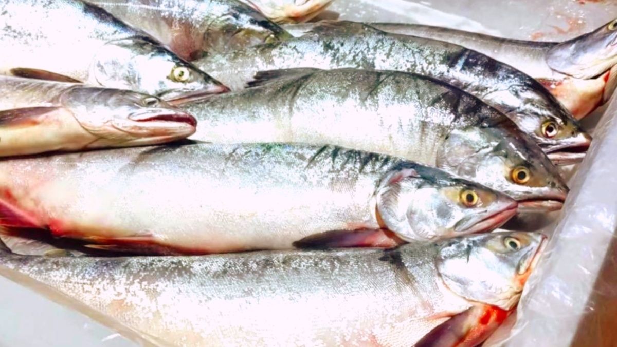 ��� ������� ������ �������: ��� ������ ���������, ������� ����� �����