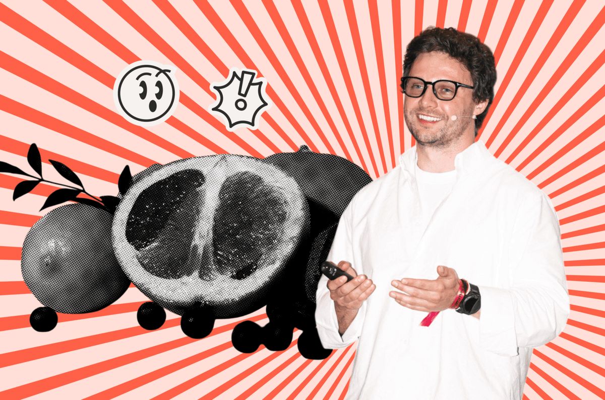 ������� ������������ ��������: ���������� Lapochka � ������������ ������������� � ���������� �������������