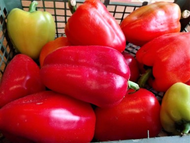 ������������ ������������� �����: ����� ������ �� ������������ ���������