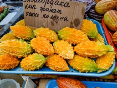 Экзотические фрукты Абхазии: новые горизонты тропического плодоводства