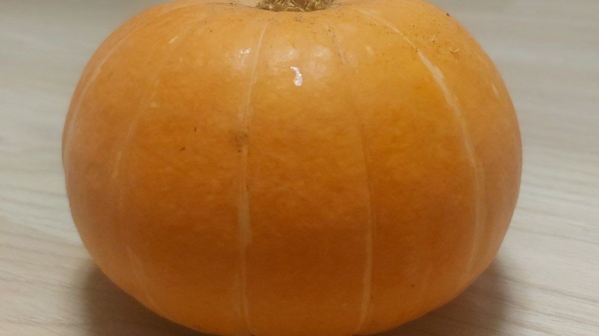 ������ ��������� �������� � ����� ��������: ����������� ������ � �������