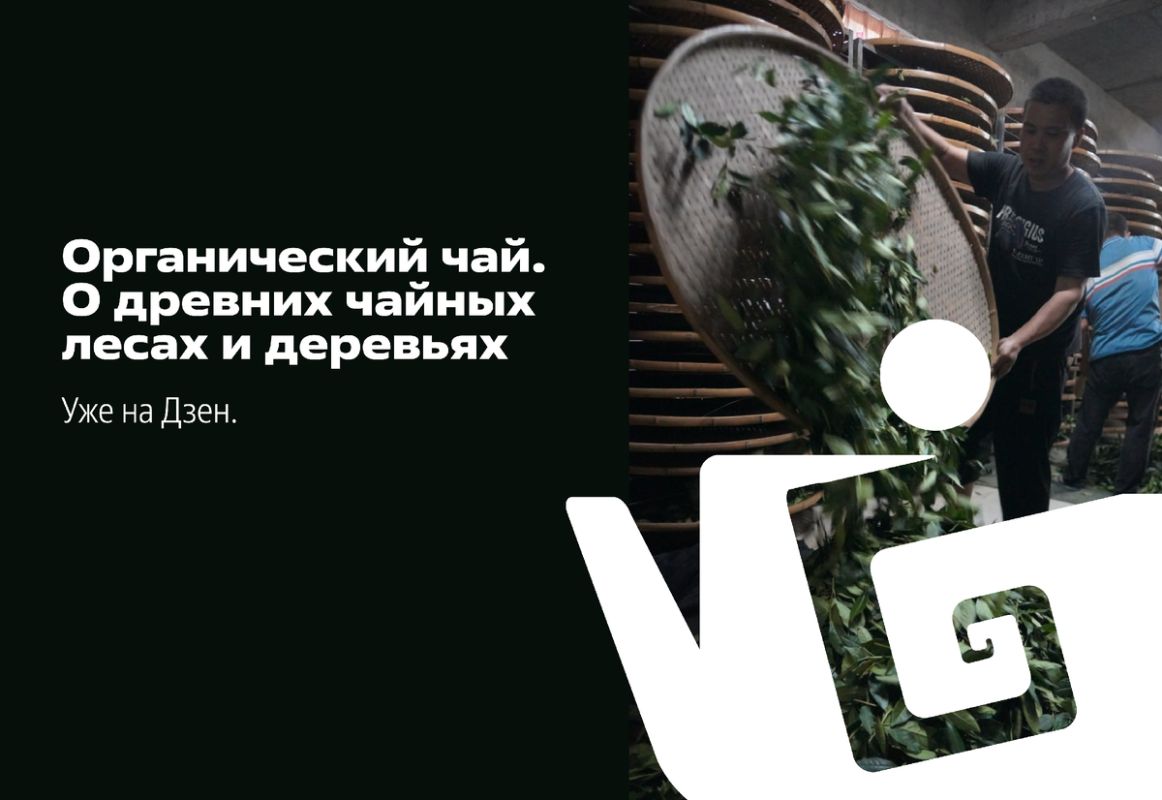 ������������ ���: ����������� � ������� ���� � �� �����