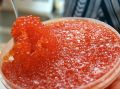 Роспотребнадзор предупредил о вредной икре: какую стоит избегать