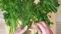 Как заготовить зеленые специи на зиму: секреты и рекомендации
