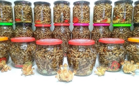 ������� ����������� ����: ��������� ������ ���� �� ������ ������