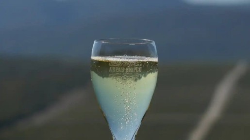 ������ ���������: Brut d�Or Riesling � ������ ��������