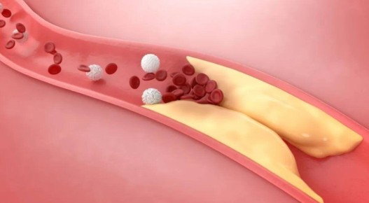 ��� �������� �������� �������������� ������� ����������� � ������������ �������� ������