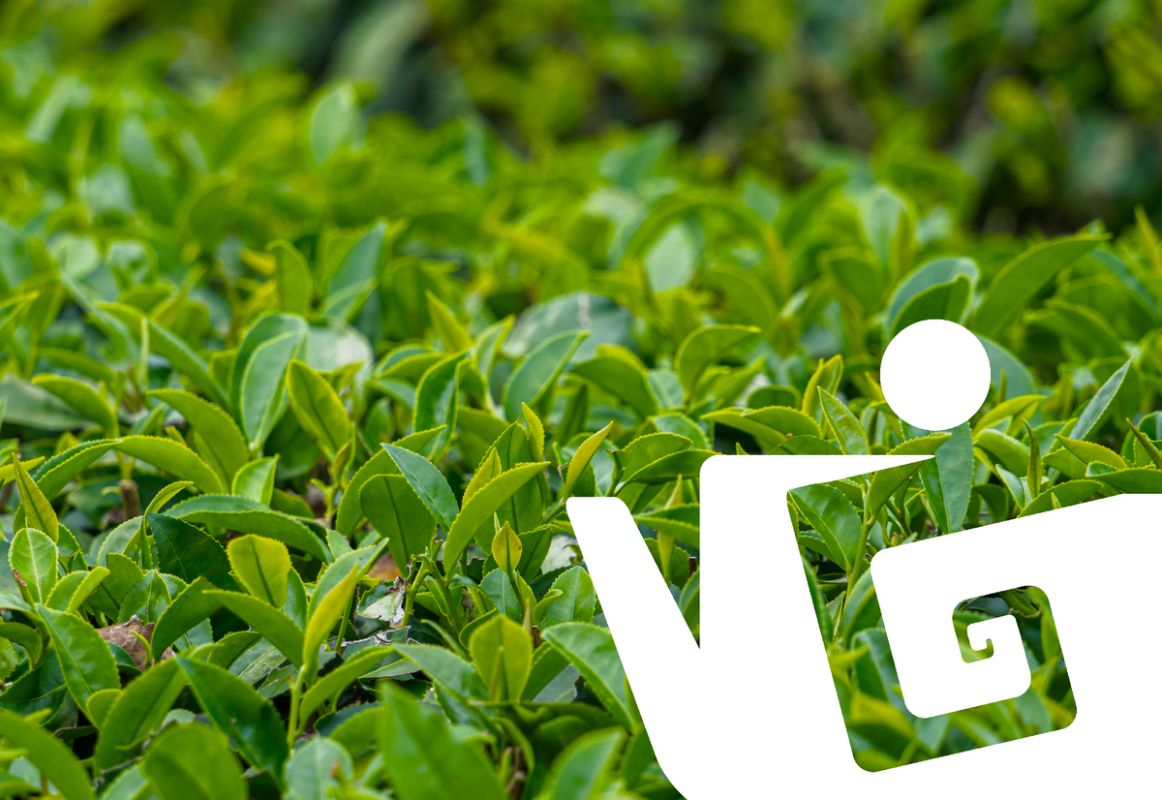 ����: ��������� ���, ��������� � ����� � ������