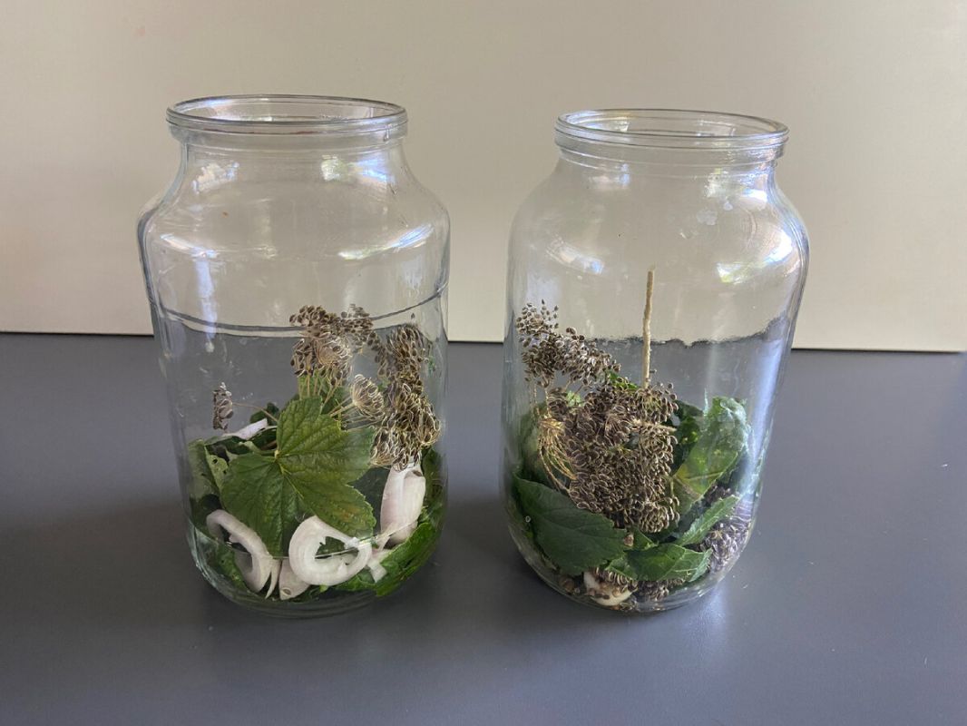 �������� ��������: ���������� ������ ������������ ������� �� ����