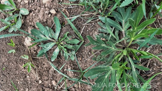 �����: �������� ����������� � ������ � �����