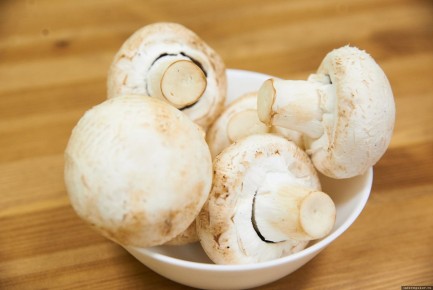 ��� ������� ������ ����������: ������ ����������������