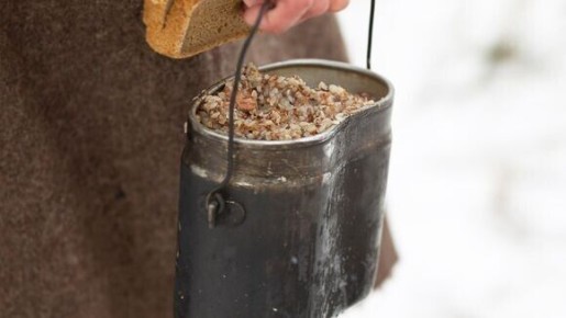 ���� ������ ������� ���� ��� ������������ �����