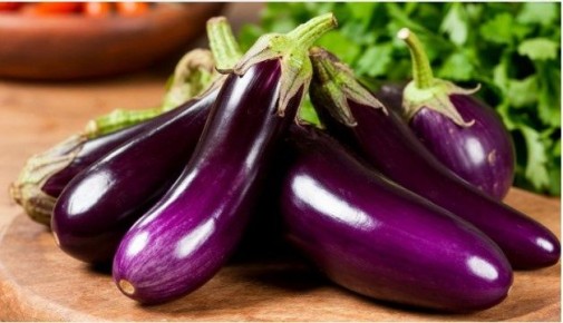 ������ ����� � ����������� � ������: ���� ��������������� �� ����� �����