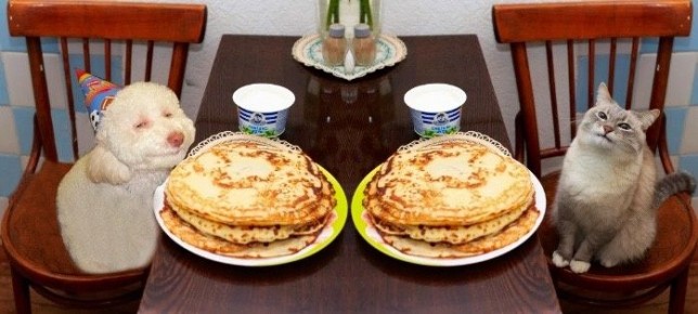 ���������� � ��������� ���������: ���� � ������� ������