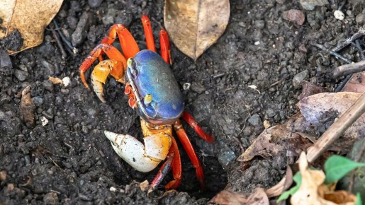 �������� ������� ��� ������������� ������� ��� ���������� �����