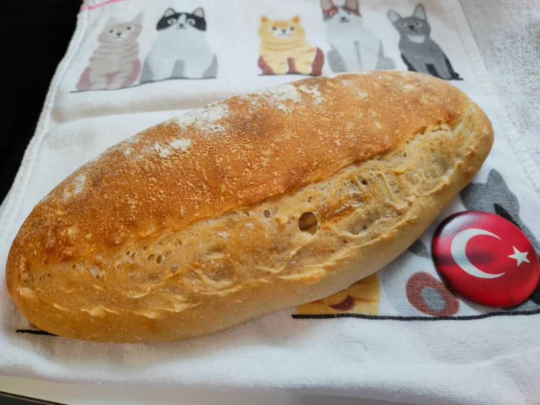 ����� ������ �� ������������ �������� ����