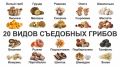 �����: ����� �� ��� ����� ���� ������