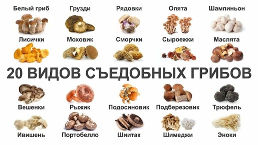�����: ����� �� ��� ����� ���� ������