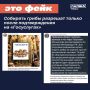 Мифы о сборе грибов: что на самом деле происходит с разрешениями