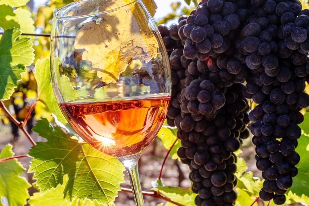 Донские виноделы восхищают международное сообщество на TERRAVINO-2026