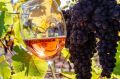 ������� �������� ��������� ������������� ���������� �� TERRAVINO-2026