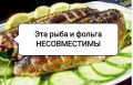 ����� ���� ������ �������� � ������: ������ �� ���������