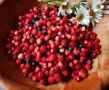 Летние приключения на благо природы