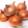 Эти продукты лучше не прятать в холодильнике: узнайте, что может испортиться
