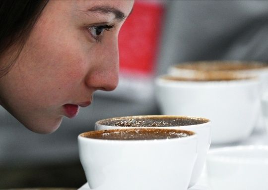 Маркировка кофе: новые угрозы для рынка и неожиданные последствия