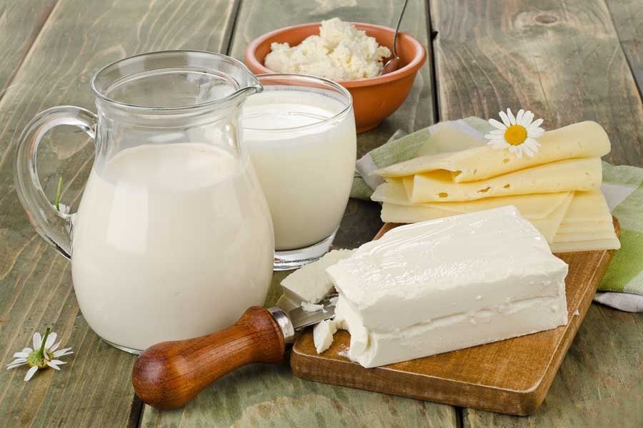 Молоко и сыр: как один продукт поддерживает здоровье кишечника, а другой может навредить