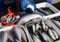 Почему селедка в банке не стоит вашего внимания