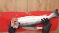 Как выбрать приличную рыбу и не попасть на удочку мошенников